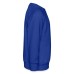 Kids' Premium Sweatshirt